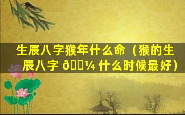 生辰八字猴年什么命（猴的生辰八字 🐼 什么时候最好）